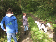 &copy; Zierfischfreunde Immenhausen-Holzhausen